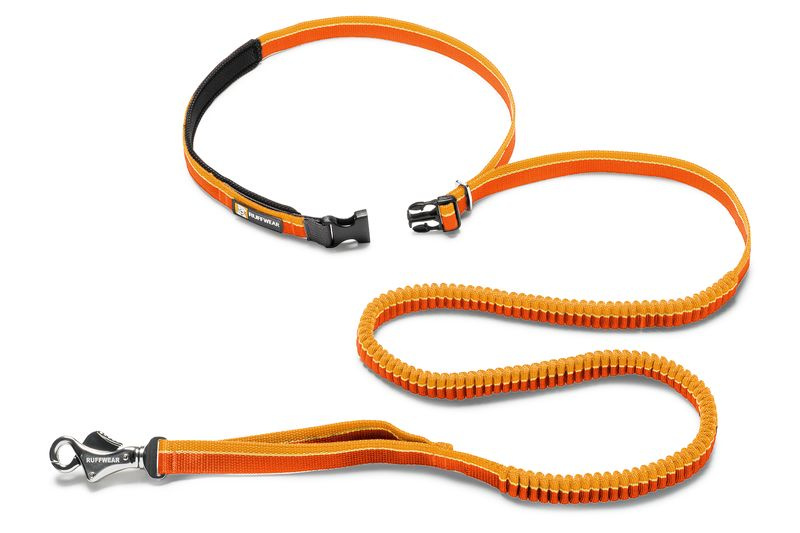 ROAMER LEASH